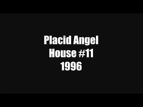 DJ Placid Angel - House #11