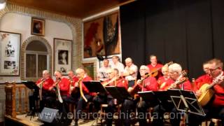 Noche de ronda en la Peña Flamenca Amigos del Cante con la Rondalla El 22