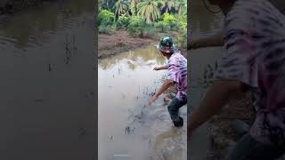 Download lagu fishing #fbreels23 #fbreels2024 #fbreelsfyp mp3 Download lagu fishing #fbreels23 #fbreels2024 #fbreelsfyp mp3