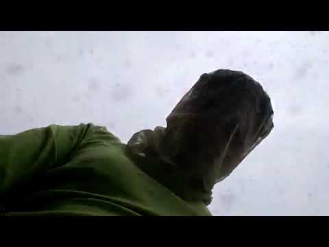 Man Working Outdoors Gets Attacked and Bitten by Midges - 1068358