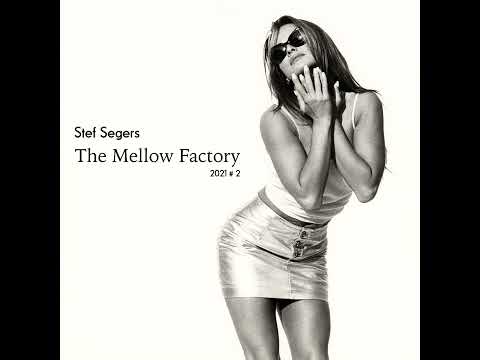 Stef Segers - The Mellow Factory 2021-2