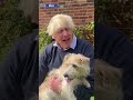 Boris Johnson Has HIS Say On Dangerous Dogs Following XL Bully Dog Attacks