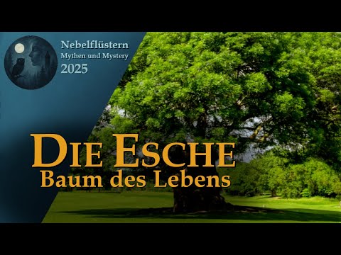 Die Esche: Baum des Lebens
