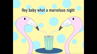 Download lagu The 502s - Hey Julia mp3