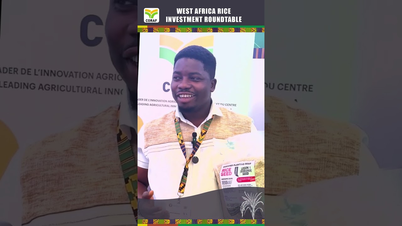 A prosperous young seed producer in Ghana