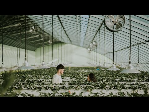 ThunderZ - Bad Days (Official Music Video)