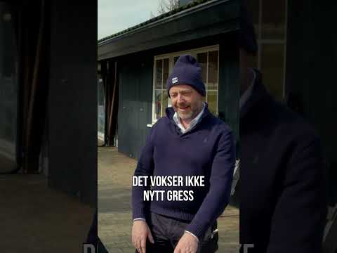 YouTube Video 4