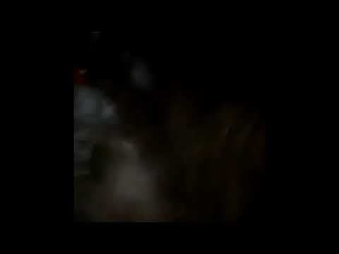 Lil Alex x GSA - RANA feat. RoxtarAdam (Official Music Video)