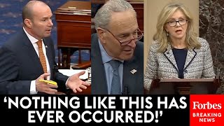EPIC: Senate Republicans Absolutely Unleash On Schumer After Mayorkas Impeachment Articles Dismissed