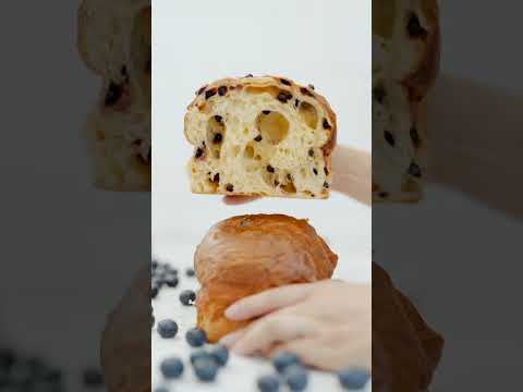 Laboratório Niko Romito - PANDOLCE PURA FRUTTA Mirtillo