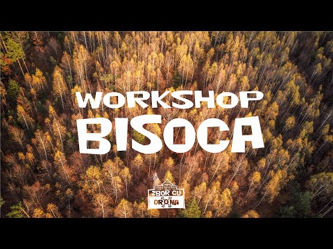 WORKSHOP DE MUZICA TRADITIONALA SI DANS | BUZAU | BISOCA