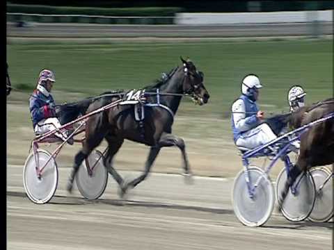 Trotto 21/04/2017 - 1ª corsa