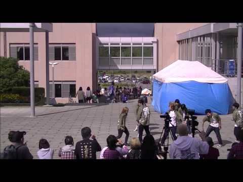 4年学年 - 2015