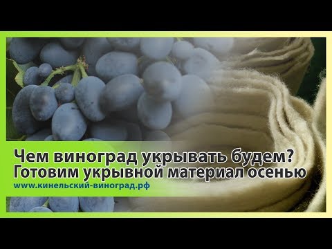 Чем виноград укрывать будем? Готовим укрывной материал осенью