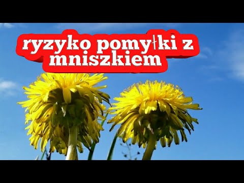 Maska nawilżająca do włosów morze Maska włosy kwaśnego mleka
