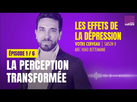 Comment la dépression transforme votre perception (1/6) | Votre cerveau, saison 8