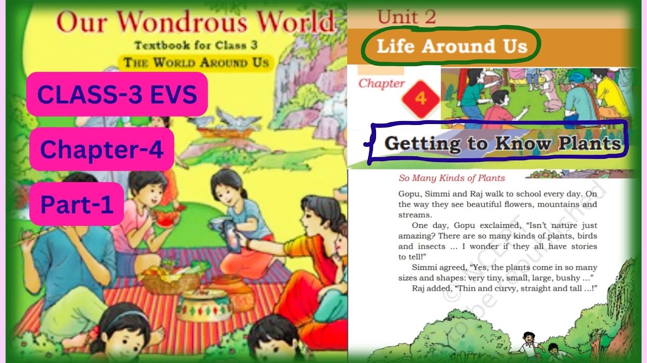 Class 3 |EVS Chapter-4 | Getting To Know Plants |PART-1| Unit 2 | Life Around Us |OUR WONDROUS WORLD