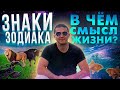 Знаки зодиака. Настоящее значение. 