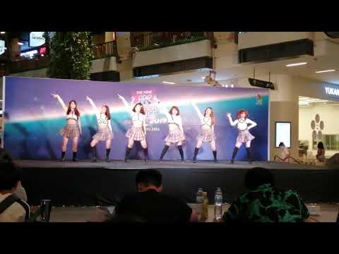 DPFamily 1-6-19 [D. Wice] Bon bon chocolat