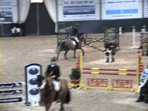 Chaplin of greenhill (Cassini I x Caretino)4j winter 2010 2010_11_15_17_47_05.wmv