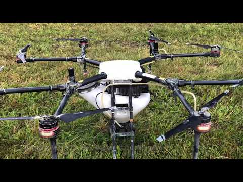 Landtechnik: Untersaat im Mais mit der Drohne