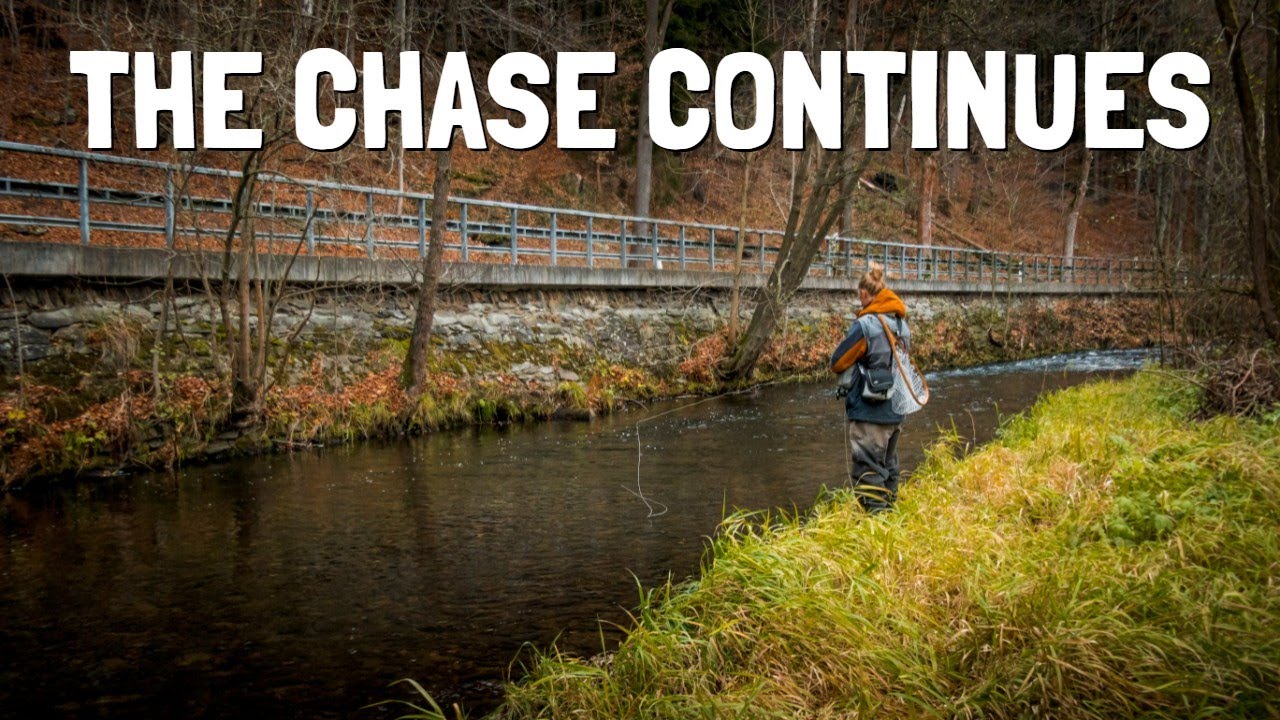 Grayling Paradise part 2 | Ore Mountains Fly Fishing Trip