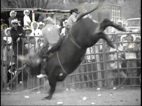 TOÑO BRAVO VS EL GAVILAN DEL SUR DE RANCHO EL TREBOL