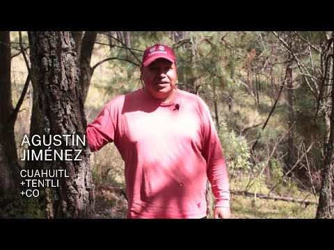 "Cuahuitl + Tentli + Co" Episodio 7: Agustín Jiménez