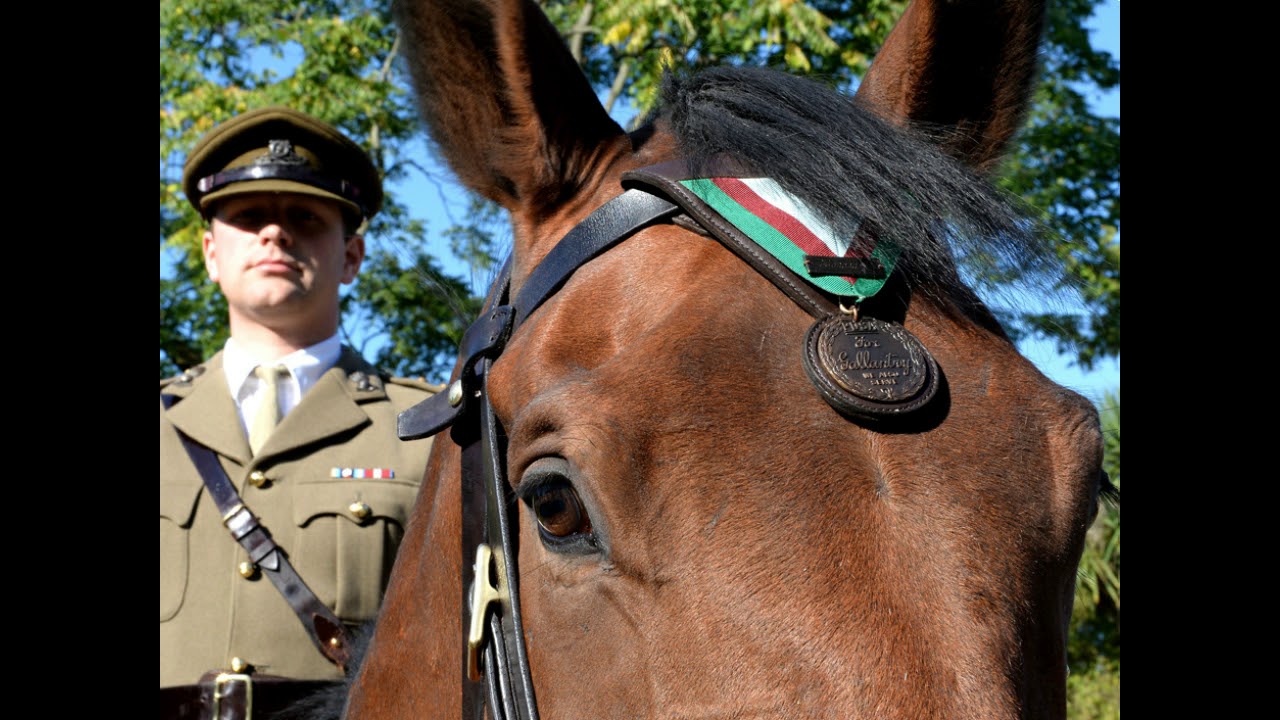 The Purple Poppy Remberance