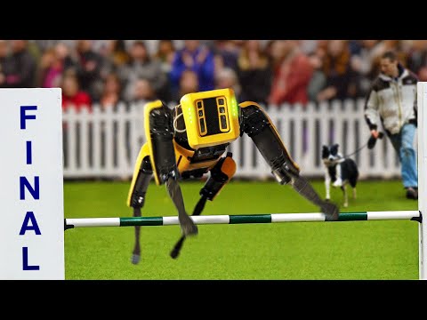 I Entered A Robot Dog Into A Dog Competition