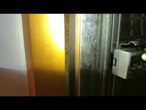 Brown-Banded Cockroaches Infest Home in New Brunswick, NJ