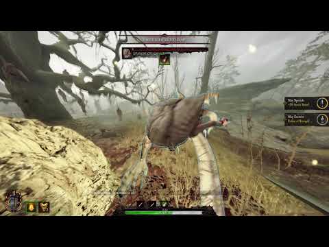 Grail Knight two shots monsters and rotbloods - Vermintide 2 Legend True Solo