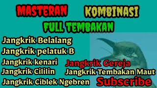 Download lagu Masteran Kombok Full Isian Tembakan Kombinasi #JangkrikBelalangPelatuk BawangKenariCililinGereja mp3 Download lagu Masteran Kombok Full Isian Tembakan Kombinasi #JangkrikBelalangPelatuk BawangKenariCililinGereja mp3