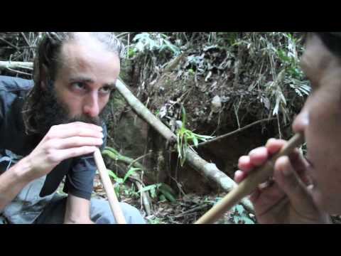 RAPÉ - MEDICINA DA FLORESTA