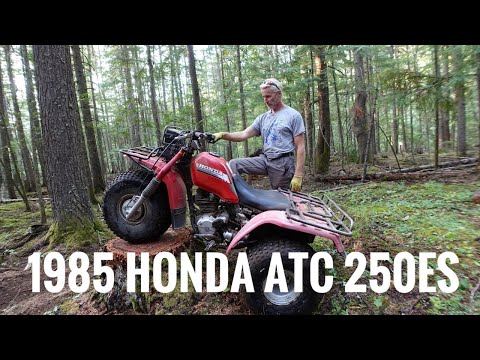 This 1985 Honda 3 Wheeler is A Hard Enduro Machine! | Honda ATC250ES