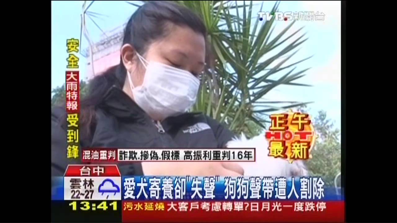 愛犬寄養卻「失聲」　狗狗聲帶遭人割除
