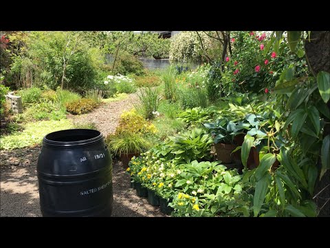 雨水の物理化学的生物学的性質を利用する必要があるもの