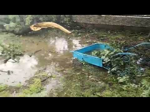 Furtuna a făcut ravagii la Dângeni