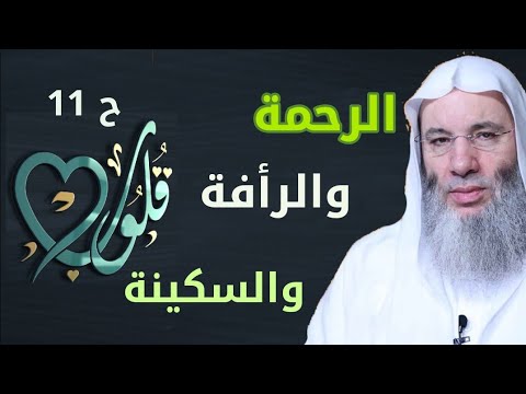 الرحمة والرأفة والسكينة ح 11 قلوب مع حبيب القلوب الشيخ الدكتور محمد حسان