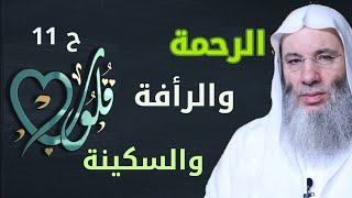 الرحمة والرأفة والسكينة ح 11 قلوب مع حبيب القلوب الشيخ الدكتور محمد حسان