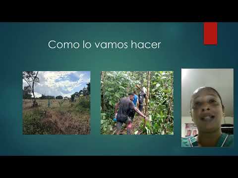 deforestación  en el municipio de Barbacoas Nariño video
