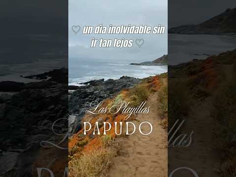 Trekking las playillas✨¿Te gustaría hacer este plan? #chile #trekking #vregion #papudo