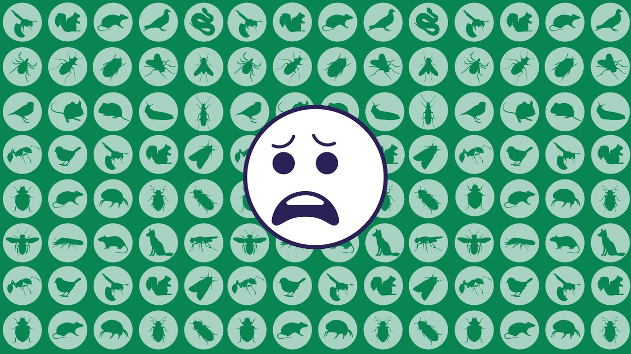 Why do we control and manage pests in the UK?