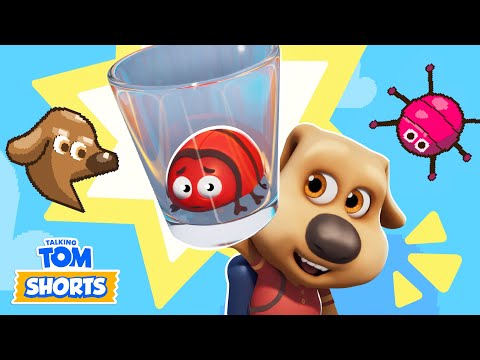 Bug Off! (Nasty Little Bugs 3) 🪲 Talking Tom Shorts (S3 Episode 37)