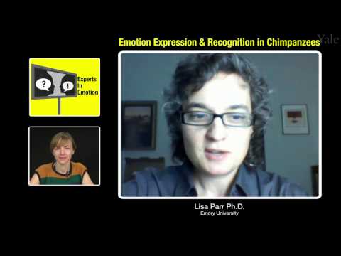 Emotion Expression & Recognition in Chimpanzees: An Interview with Lisa Parr