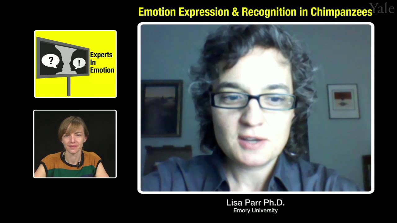 Emotion Expression & Recognition in Chimpanzees: An Interview with Lisa Parr