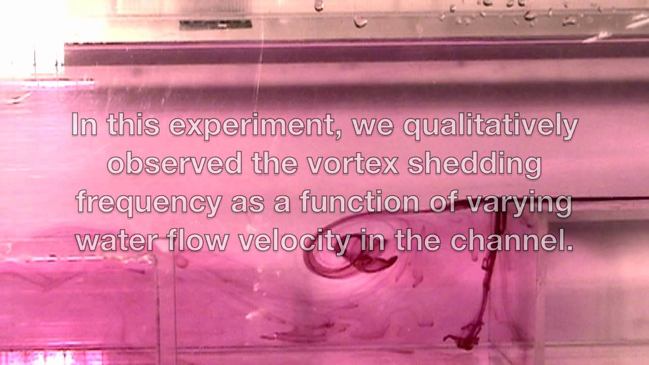 Visualization of Vortex Formation and Shedding Behind a Backward Facing Step