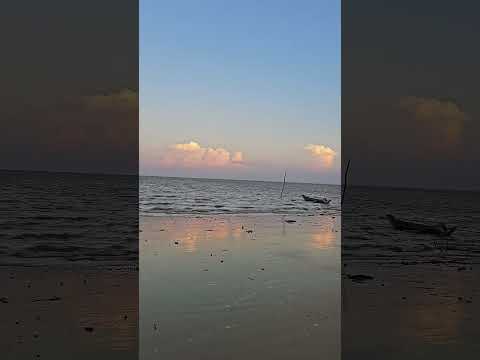 Limoeiro do Ajurú, PA #amazon #selva #amazonia #viral