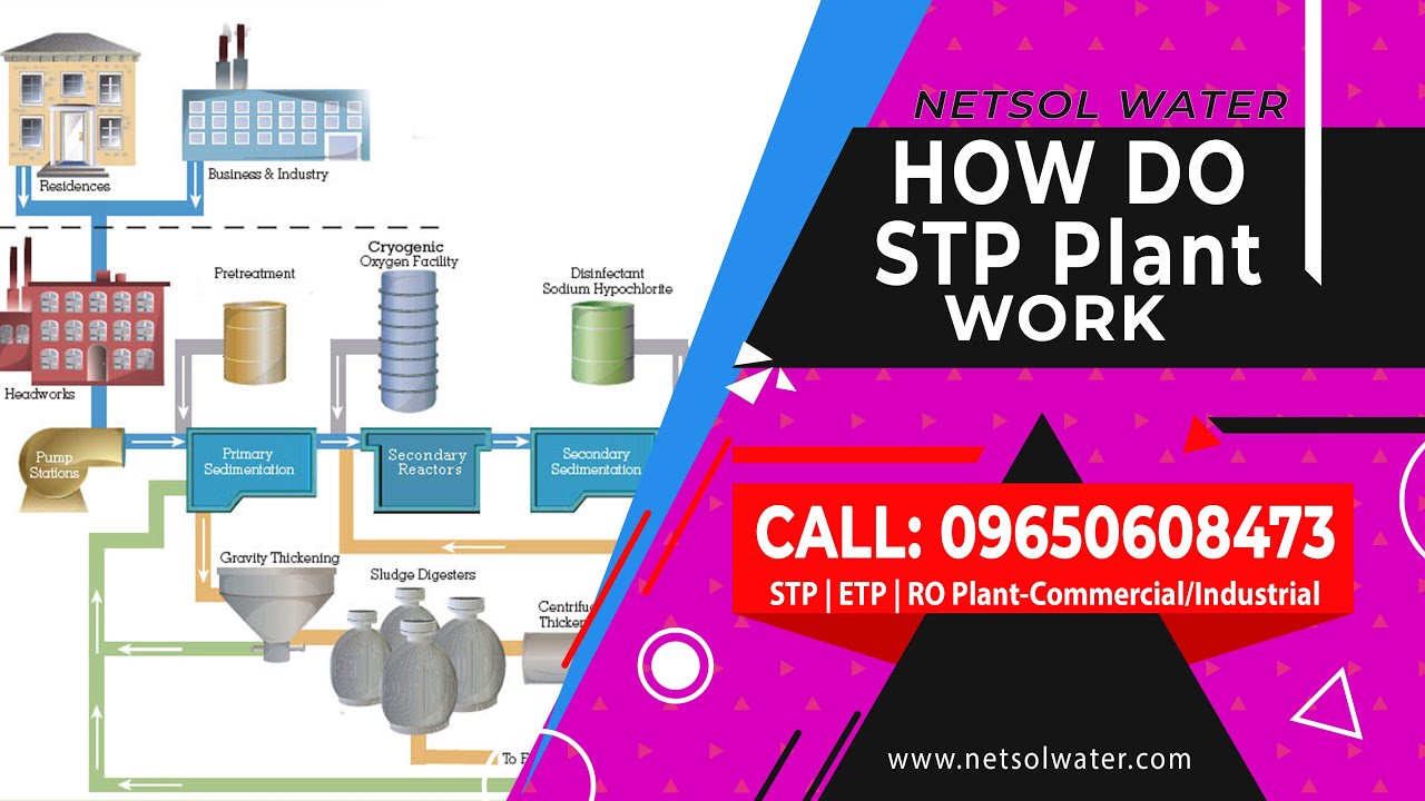 How Do Sewage Treatment Plants Work By STP Manufacturer - Netsol Water