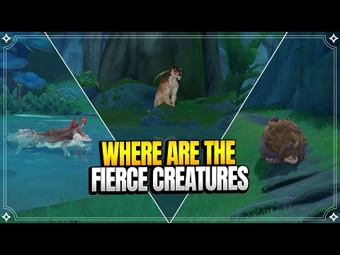 Where Are the Fierce Creatures? | World Quests & Puzzles |【Genshin Impact】